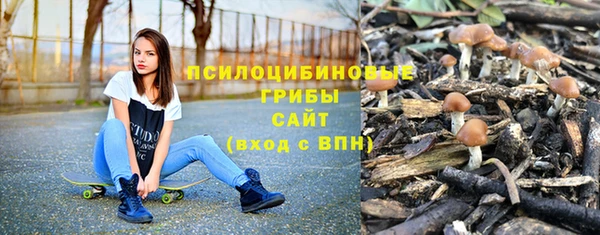 spice Абаза