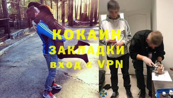 стаф Абинск
